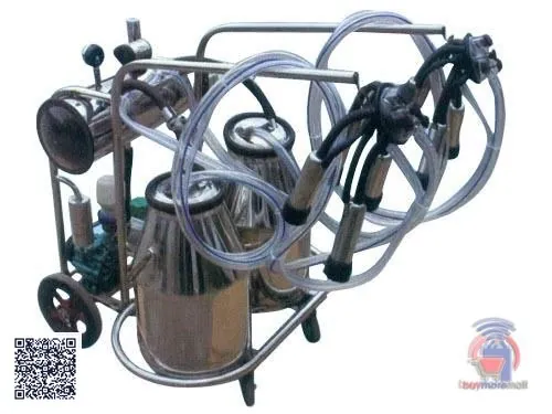 Double cow milking machine in Kenya